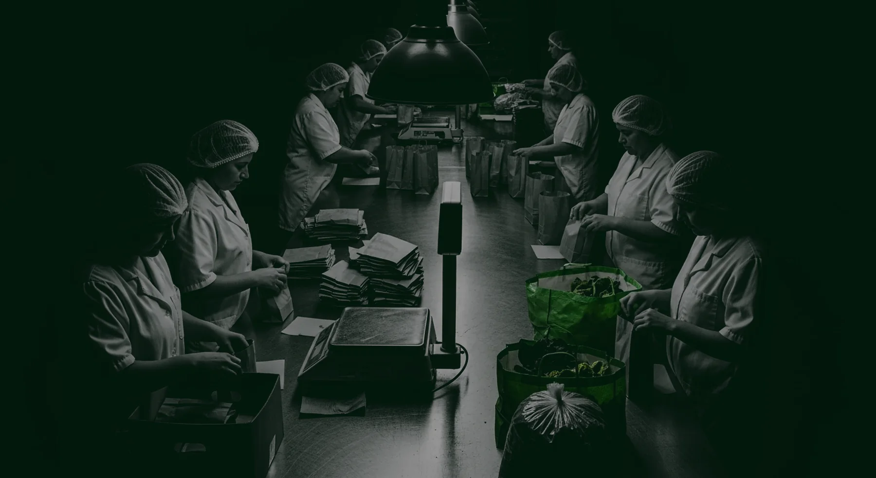 Línea de empaque de alimentos: operarias con bata y cofia llenando bolsas de papel sobre una mesa larga, junto a una báscula.